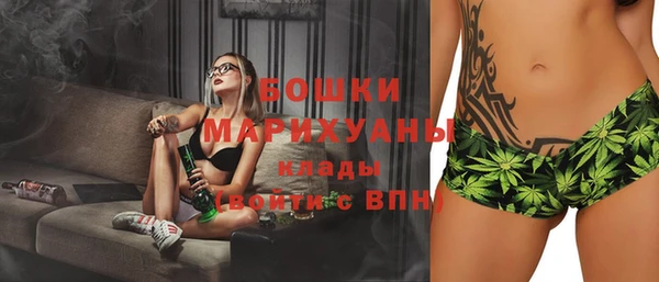 гашик Арсеньев
