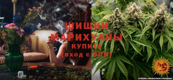 стаф Армянск