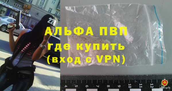 гашик Арсеньев