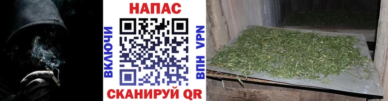 Бошки марихуана VHQ  цена наркотик  Пыть-Ях 